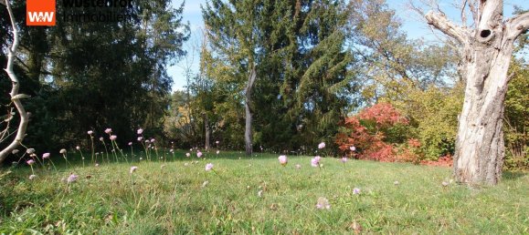 Moradia em banda T1 em Gorlitz, Germany N.º 135155 2