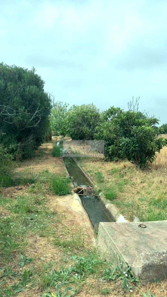 Grundstück in Odiaxere, Portugal, Nr. 228156