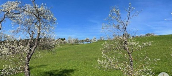 Земельный участок в Рандегг, Австрия № 162777 2