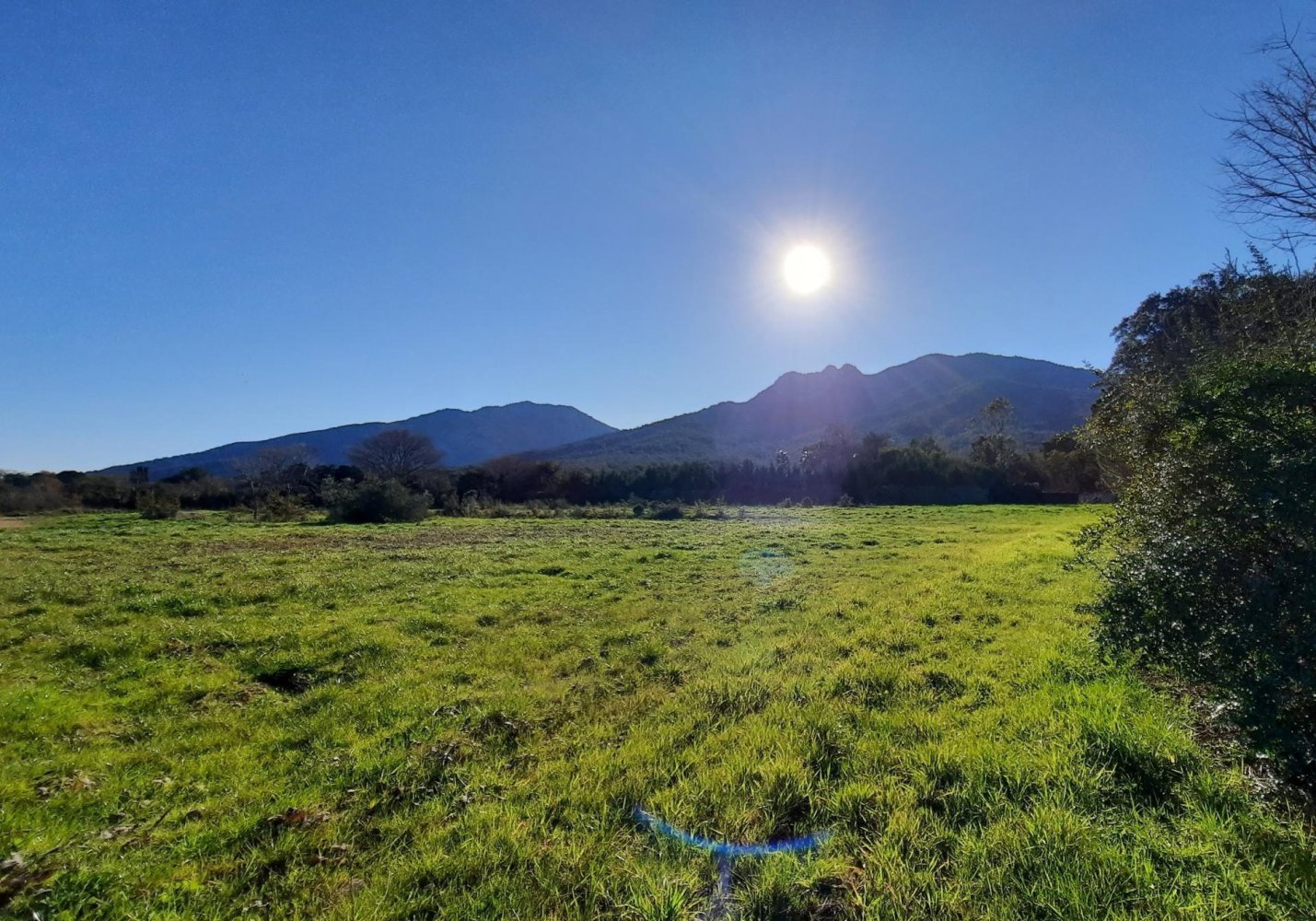 396m² Land in Sorede, France No. 118399