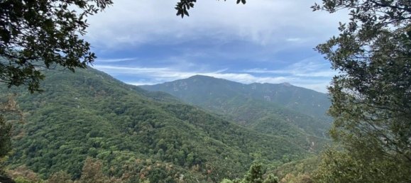 396m² Land in Sorede, France No. 118399 11