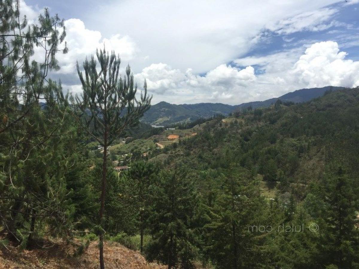  Land in Antioquia, Colombia No. 399