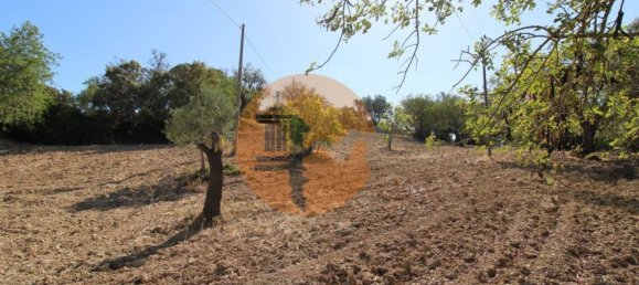Terreno en Santa Catarina da Fonte do Bispo, Portugal 3620 m² No. 48816 2