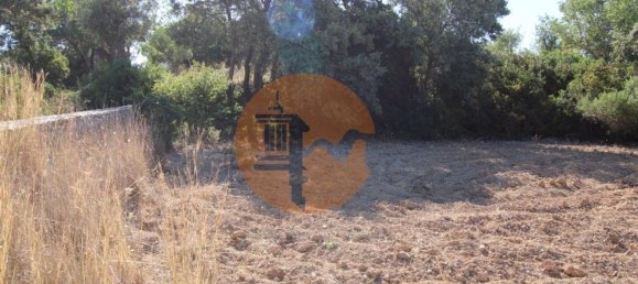 Terreno en Santa Catarina da Fonte do Bispo, Portugal 3620 m² No. 48816 8
