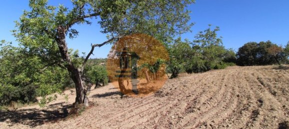 Terreno en Santa Catarina da Fonte do Bispo, Portugal 3620 m² No. 48816 15