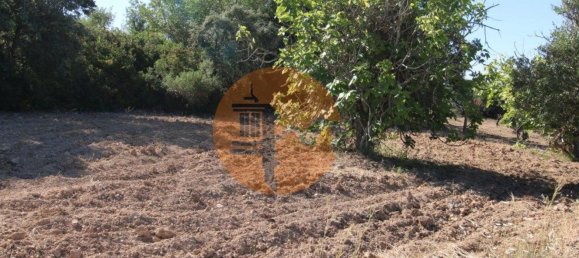 Terreno en Santa Catarina da Fonte do Bispo, Portugal 3620 m² No. 48816 5