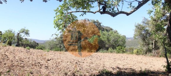 Terreno en Santa Catarina da Fonte do Bispo, Portugal 3620 m² No. 48816 7