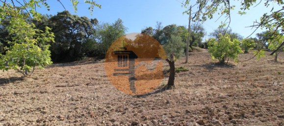 Terreno en Santa Catarina da Fonte do Bispo, Portugal 3620 m² No. 48816 22