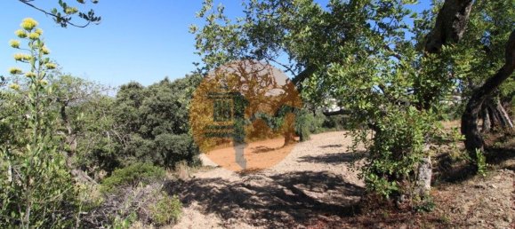 Terreno en Santa Catarina da Fonte do Bispo, Portugal 3620 m² No. 48816 17