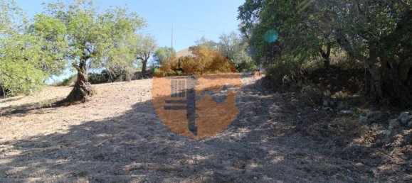 Terreno en Santa Catarina da Fonte do Bispo, Portugal 3620 m² No. 48816 20