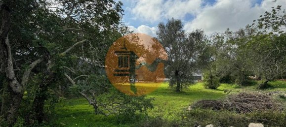 Terreno en Sao Bras de Alportel, Portugal 2432 m² No. 35260 2