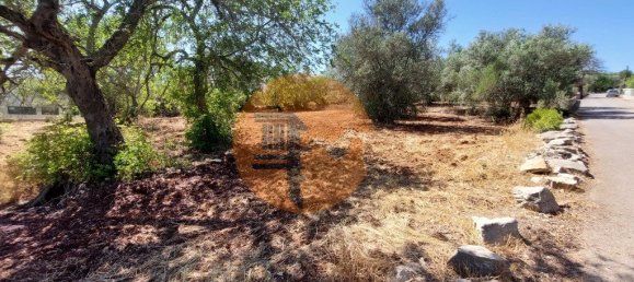 Terreno en Sao Bras de Alportel, Portugal 2432 m² No. 35260 13