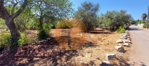 Terreno en Sao Bras de Alportel, Portugal 2432 m² No. 35260 7