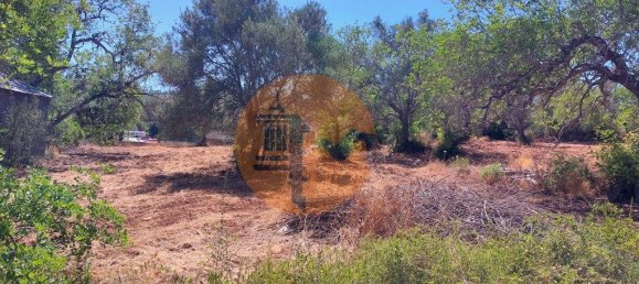 Terreno en Sao Bras de Alportel, Portugal 2432 m² No. 35260 8