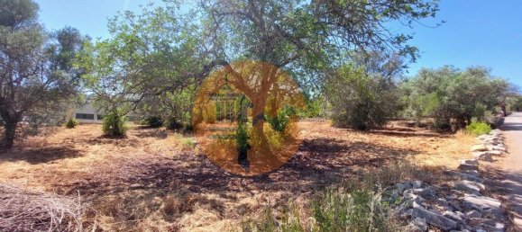 Terreno en Sao Bras de Alportel, Portugal 2432 m² No. 35260 11