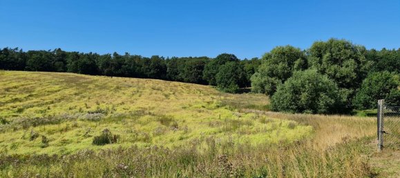 2 bedrooms House in Gustrow, Germany No. 152947 5