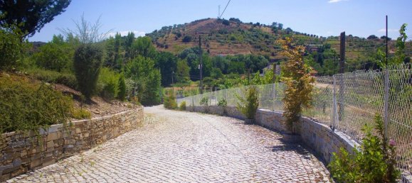 9 bedrooms House in Mirandela, Portugal No. 31075 10