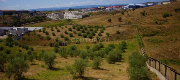9 bedrooms House in Mirandela, Portugal No. 31075 15