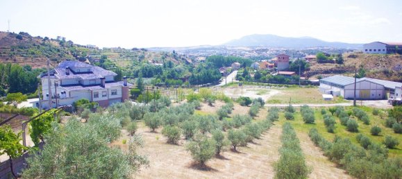 9 bedrooms House in Mirandela, Portugal No. 31075 13