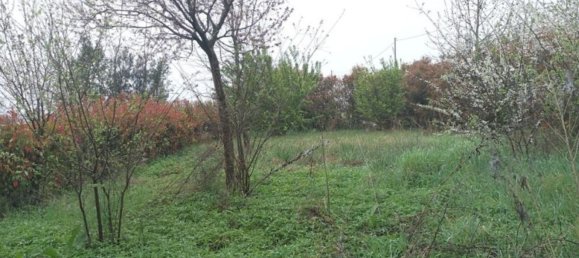 7غرفة شقة في Ferrara, Italy رقم 25104 10