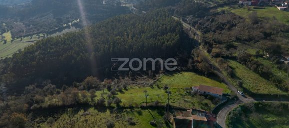  قطعة أرض في Montemor o Velho, Portugal 10155متر مربع رقم 22032 10