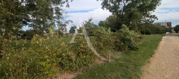 Terreno em La Chapelle-Saint-Martin-en-Plaine, France 1454 m² N.º 229545 6