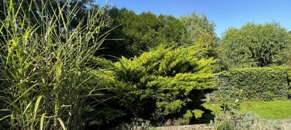 2 chambres Appartement à Rhein-Sieg, Germany No. 218107 34