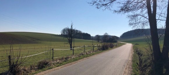  Land in Mehrnbach, Austria No. 126836 3