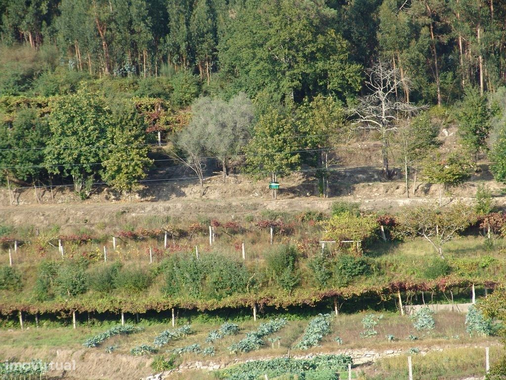  قطعة أرض في Ponte de Lima, Portugal 1400متر مربع رقم 303519