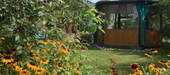 Grundstück in Harmannsdorf, Austria 950m², Nr. 131781 11