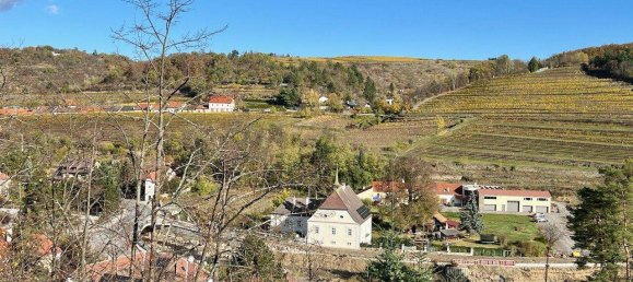  Land in Krems an der Donau, Austria No. 245514 2