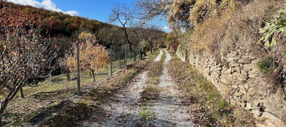  Land in Krems an der Donau, Austria No. 245514 7