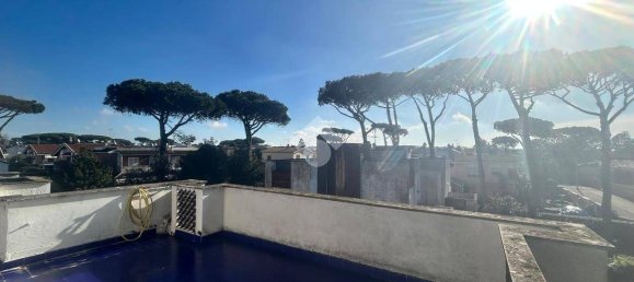 4 Schlafzimmer Villa in Anzio, Italy, Nr. 155551 41