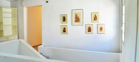 20 bedrooms Townhouse in Chalkidiki, Greece No. 6319 24