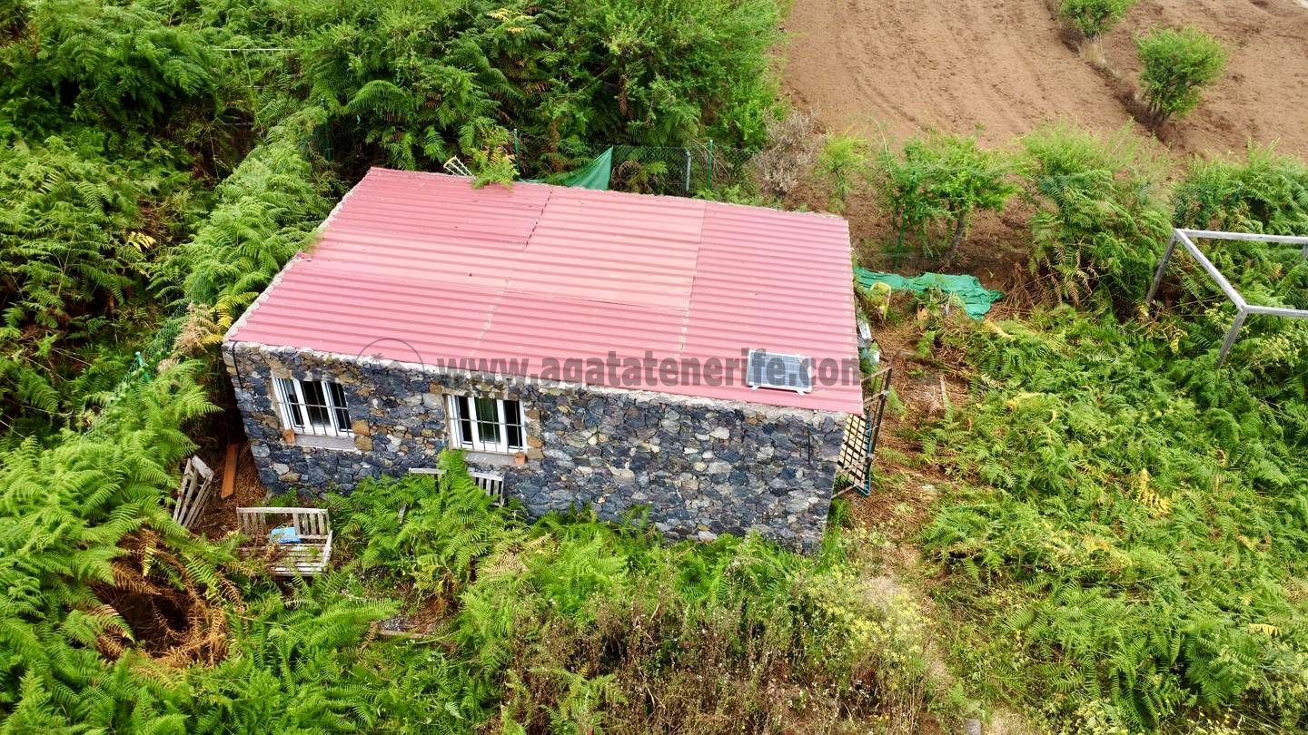 2 غرف نوم منزل في Icod de los Vinos, Spain رقم 242021