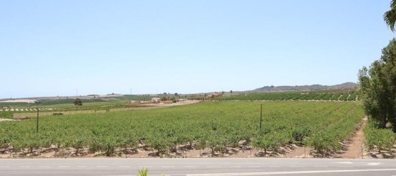 6 bedrooms Hotel in San Miguel de Salinas, Spain No. 184631 17