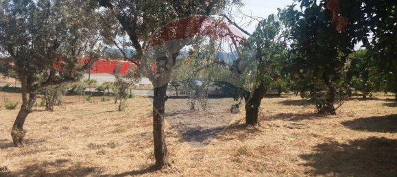 4 Schlafzimmer Haus in Serta, Portugal, Nr. 32001 15