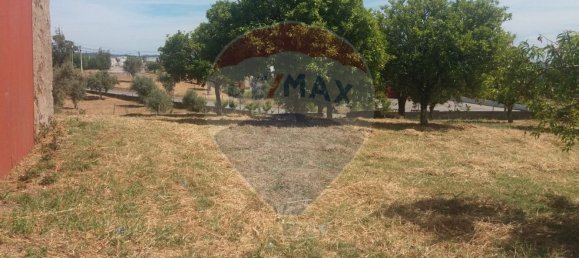 4 Schlafzimmer Haus in Serta, Portugal, Nr. 32001 10