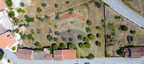 4 Schlafzimmer Haus in Serta, Portugal, Nr. 32001 5