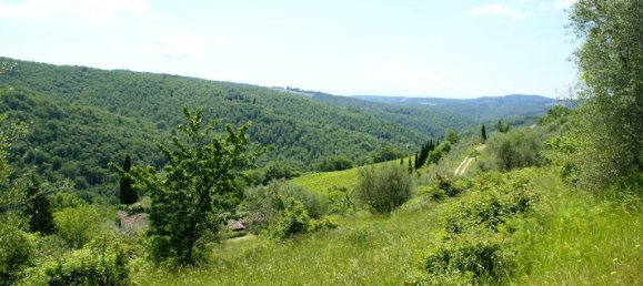 3 bedrooms House in Radda in Chianti, Italy No. 87558 15