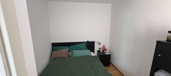 2 rooms Apartment in Gross-Enzersdorf, Austria No. 152542 8