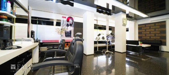 Коммерческая недвижимость с 5 комнатами в Хайльбронн, Германия № 17839 10