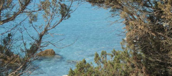 3 rooms Apartment in Santa Teresa Gallura, Italy No. 250790 6