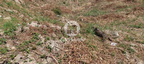  قطعة أرض في Barcelos, Portugal رقم 308498 9