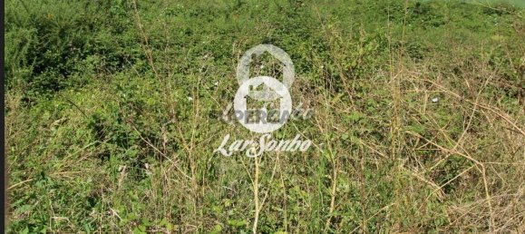  قطعة أرض في Barcelos, Portugal رقم 308498 18