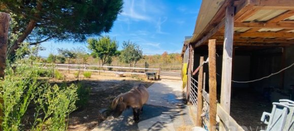 6 Schlafzimmer Haus in Bombarral, Portugal, Nr. 136730 12