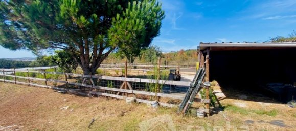 6 Schlafzimmer Haus in Bombarral, Portugal, Nr. 136730 11