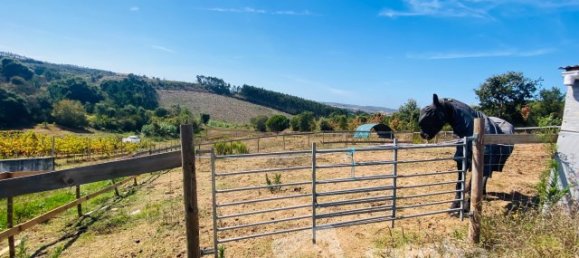 6 Schlafzimmer Haus in Bombarral, Portugal, Nr. 136730 14