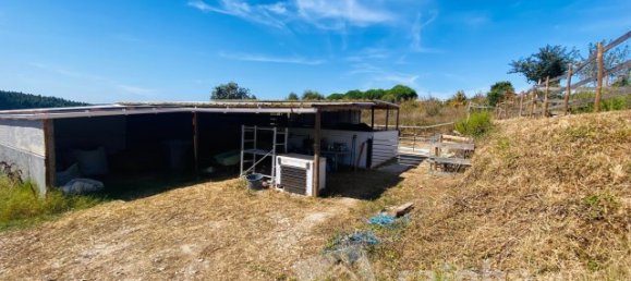 6 Schlafzimmer Haus in Bombarral, Portugal, Nr. 136730 13