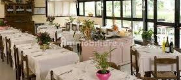 4-Zimmer Gewerbliche Immobilie in Reggio Emilia, Italy, Nr. 258529 6